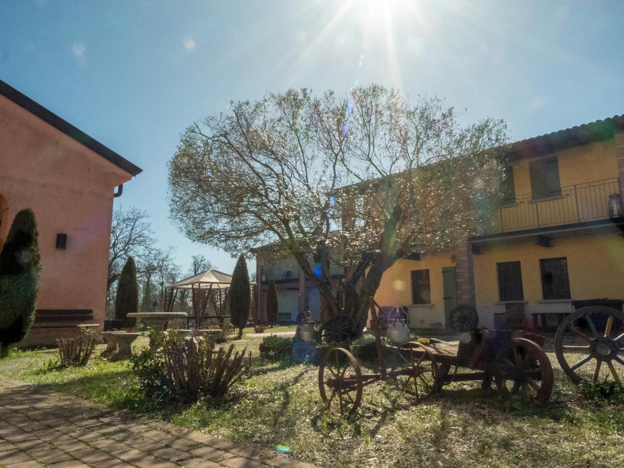Agriturismo Borgo Del Mincio Volta Mantovana Exterior foto